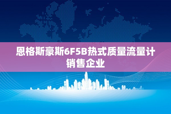 恩格斯豪斯6F5B热式质量流量计销售企业