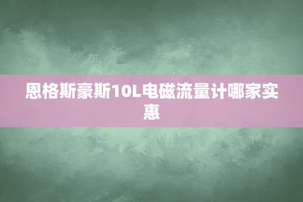 恩格斯豪斯10L电磁流量计哪家实惠