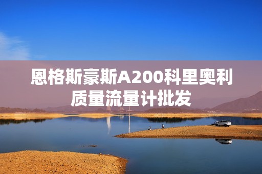 恩格斯豪斯A200科里奥利质量流量计批发