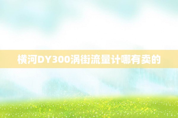 横河DY300涡街流量计哪有卖的