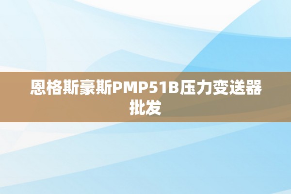 恩格斯豪斯PMP51B压力变送器批发