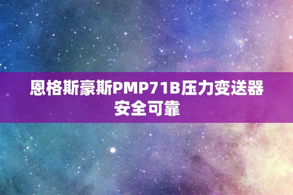 恩格斯豪斯PMP71B压力变送器安全可靠