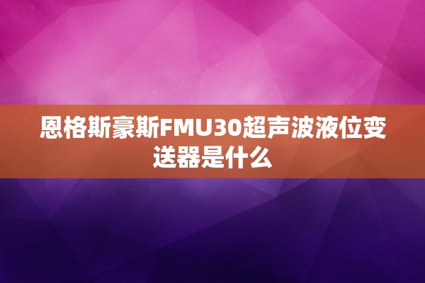 恩格斯豪斯FMU30超声波液位变送器是什么