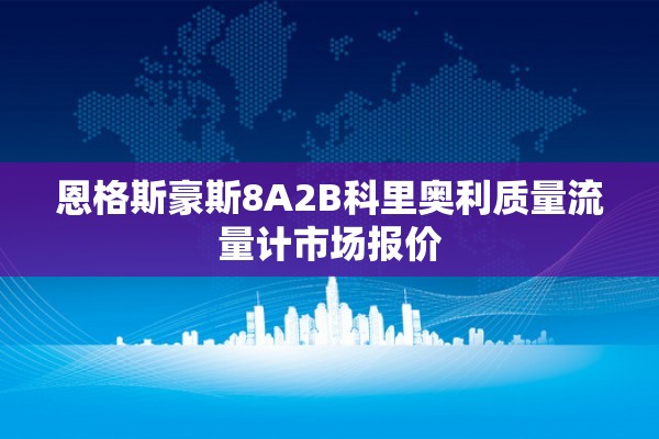 恩格斯豪斯8A2B科里奥利质量流量计市场报价