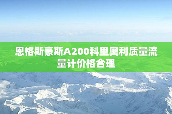 恩格斯豪斯A200科里奥利质量流量计价格合理