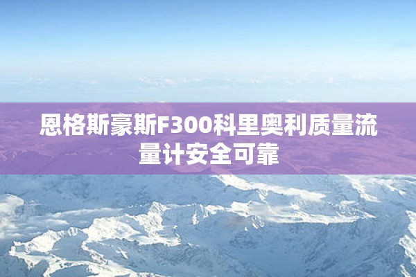 恩格斯豪斯F300科里奥利质量流量计安全可靠