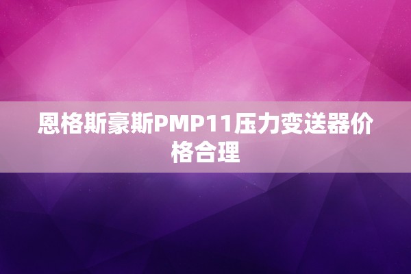恩格斯豪斯PMP11压力变送器价格合理
