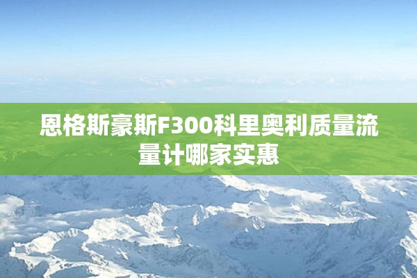 恩格斯豪斯F300科里奥利质量流量计哪家实惠