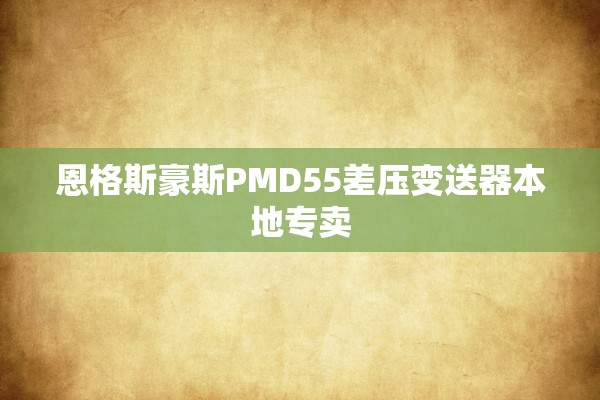 恩格斯豪斯PMD55差压变送器本地专卖