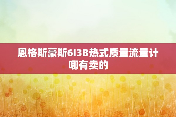 恩格斯豪斯6I3B热式质量流量计哪有卖的