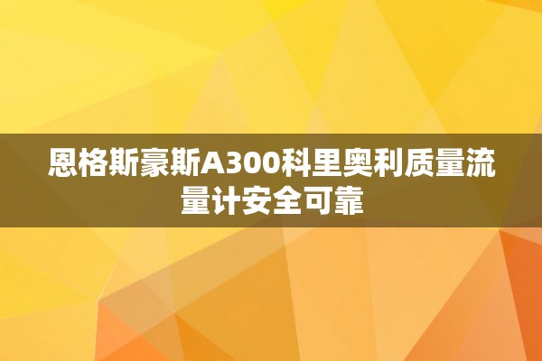 恩格斯豪斯A300科里奥利质量流量计安全可靠