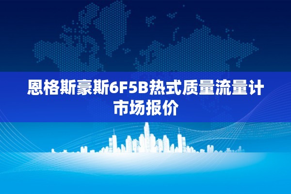 恩格斯豪斯6F5B热式质量流量计市场报价