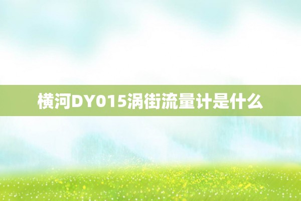横河DY015涡街流量计是什么