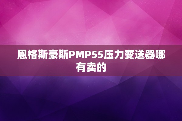 恩格斯豪斯PMP55压力变送器哪有卖的