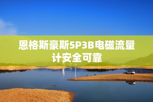 恩格斯豪斯5P3B电磁流量计安全可靠