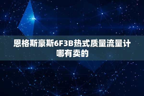 恩格斯豪斯6F3B热式质量流量计哪有卖的