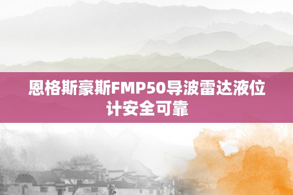 恩格斯豪斯FMP50导波雷达液位计安全可靠