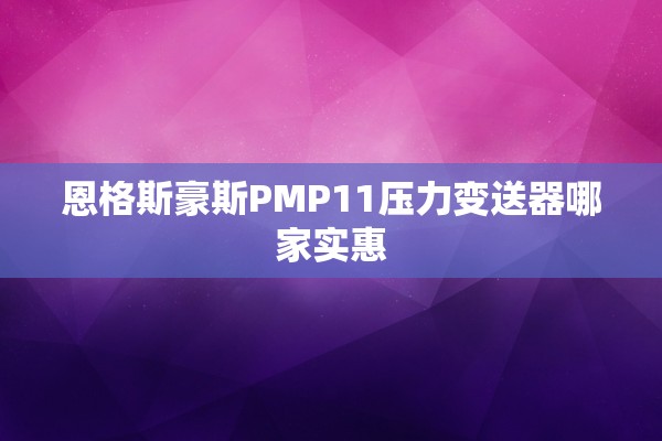 恩格斯豪斯PMP11压力变送器哪家实惠
