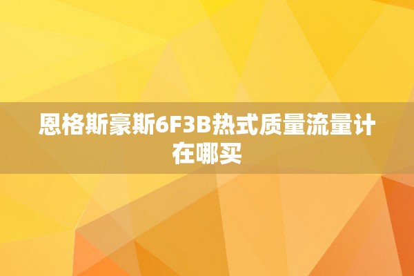 恩格斯豪斯6F3B热式质量流量计在哪买