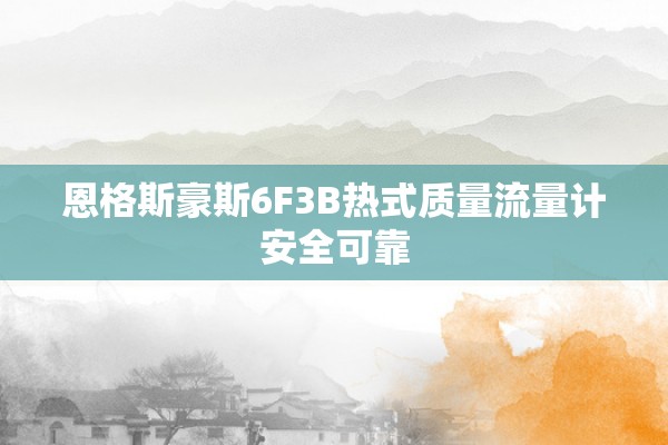 恩格斯豪斯6F3B热式质量流量计安全可靠