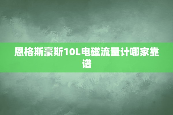 恩格斯豪斯10L电磁流量计哪家靠谱