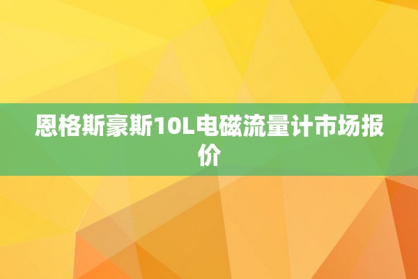 恩格斯豪斯10L电磁流量计市场报价