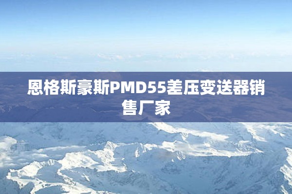 恩格斯豪斯PMD55差压变送器销售厂家