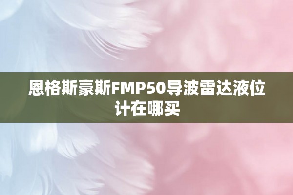恩格斯豪斯FMP50导波雷达液位计在哪买
