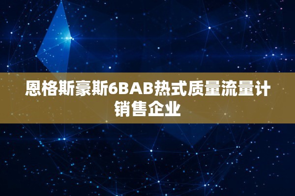 恩格斯豪斯6BAB热式质量流量计销售企业