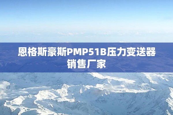 恩格斯豪斯PMP51B压力变送器销售厂家