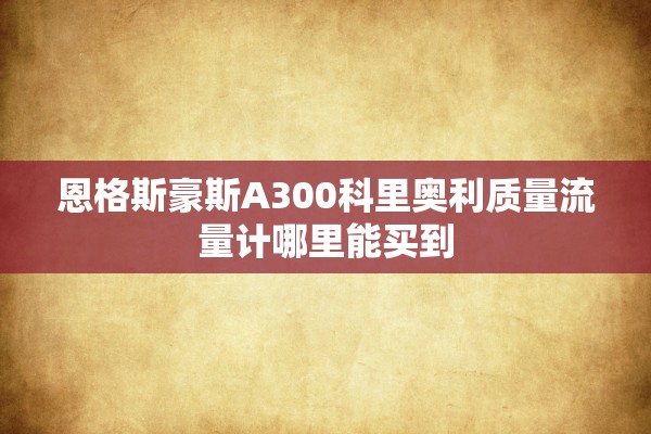 恩格斯豪斯A300科里奥利质量流量计哪里能买到