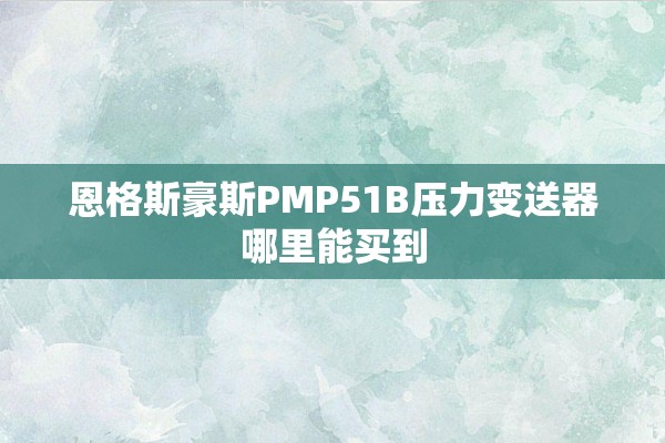 恩格斯豪斯PMP51B压力变送器哪里能买到