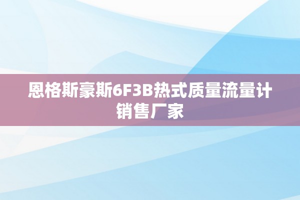 恩格斯豪斯6F3B热式质量流量计销售厂家