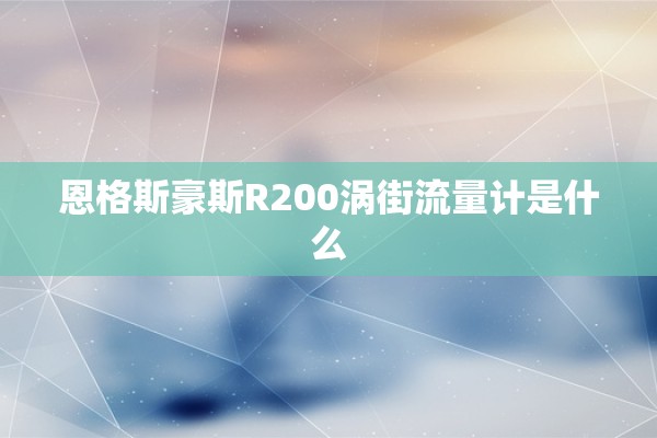恩格斯豪斯R200涡街流量计是什么