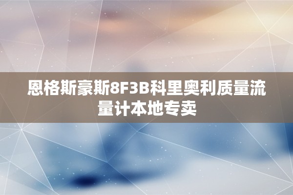恩格斯豪斯8F3B科里奥利质量流量计本地专卖