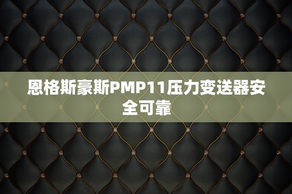 恩格斯豪斯PMP11压力变送器安全可靠
