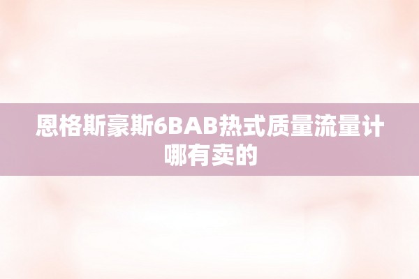 恩格斯豪斯6BAB热式质量流量计哪有卖的