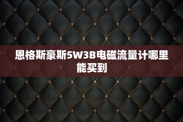 恩格斯豪斯5W3B电磁流量计哪里能买到