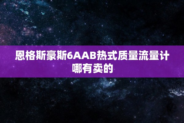 恩格斯豪斯6AAB热式质量流量计哪有卖的