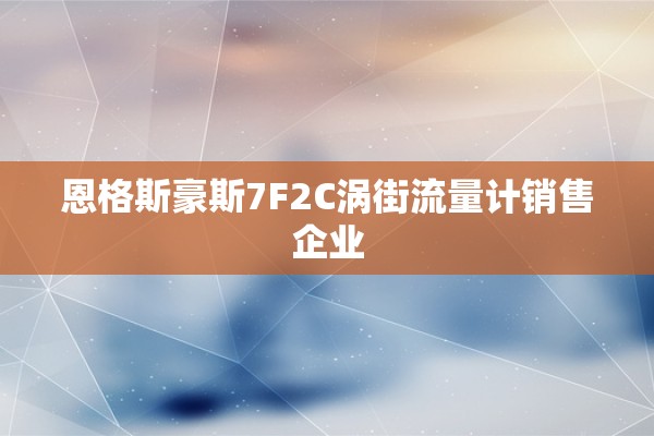 恩格斯豪斯7F2C涡街流量计销售企业