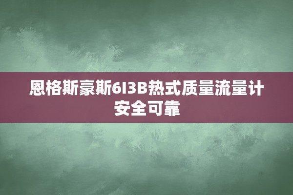恩格斯豪斯6I3B热式质量流量计安全可靠