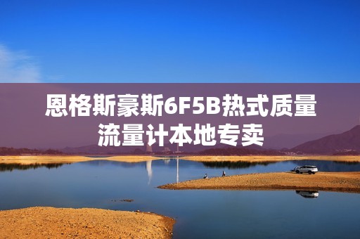 恩格斯豪斯6F5B热式质量流量计本地专卖