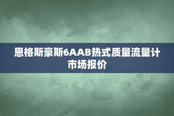 恩格斯豪斯6AAB热式质量流量计市场报价