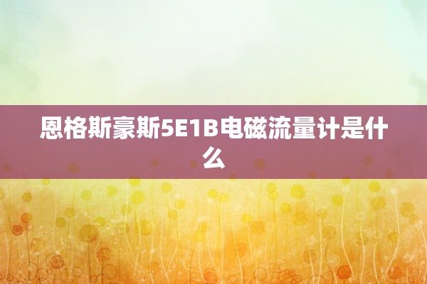 恩格斯豪斯5E1B电磁流量计是什么