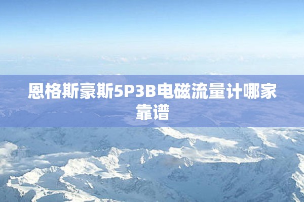 恩格斯豪斯5P3B电磁流量计哪家靠谱