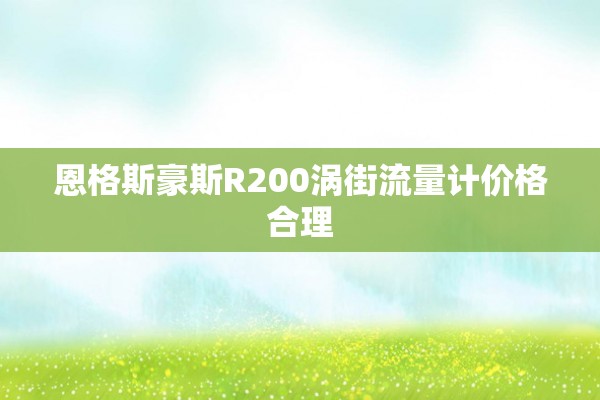恩格斯豪斯R200涡街流量计价格合理